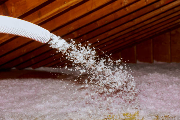 Best Crawl Space Insulation  in Fort Madison, IA