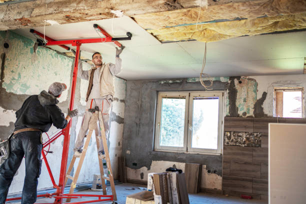 Best Cellulose Insulation  in Fort Madison, IA
