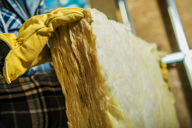 Best Garage Insulation Installation  in Fort Madison, IA