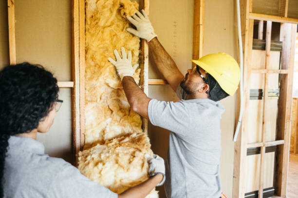 Best Affordable Insulation Services  in Fort Madison, IA
